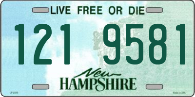 NH license plate 1219581
