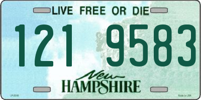 NH license plate 1219583