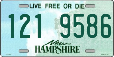 NH license plate 1219586