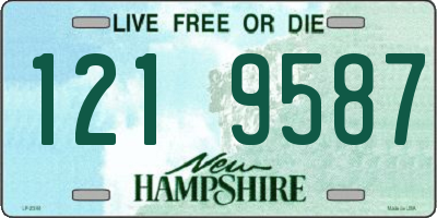 NH license plate 1219587