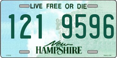 NH license plate 1219596