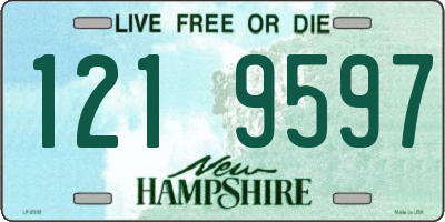 NH license plate 1219597