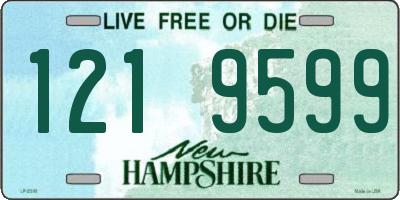 NH license plate 1219599
