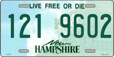 NH license plate 1219602