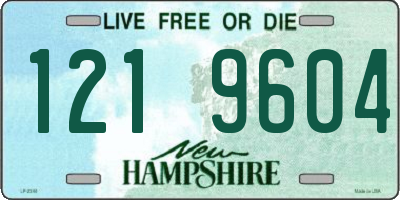 NH license plate 1219604