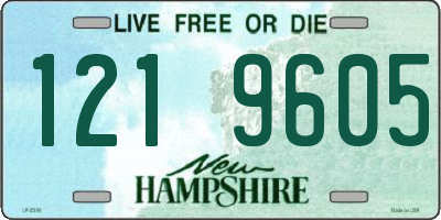 NH license plate 1219605