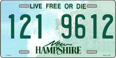 NH license plate 1219612