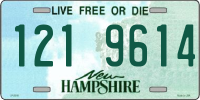 NH license plate 1219614