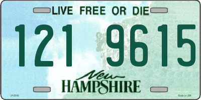 NH license plate 1219615