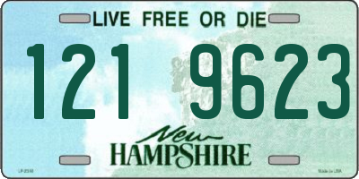 NH license plate 1219623