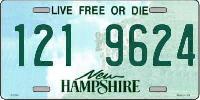 NH license plate 1219624