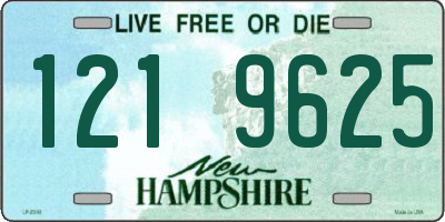NH license plate 1219625