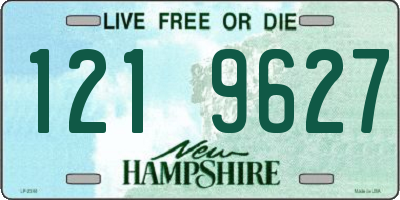 NH license plate 1219627