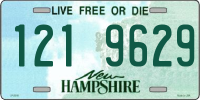 NH license plate 1219629