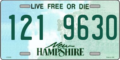 NH license plate 1219630