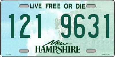 NH license plate 1219631