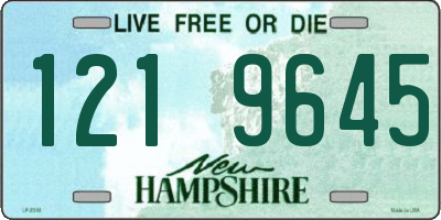 NH license plate 1219645