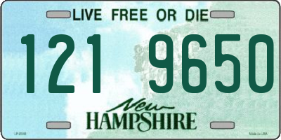 NH license plate 1219650