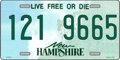 NH license plate 1219665