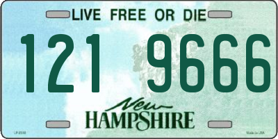 NH license plate 1219666
