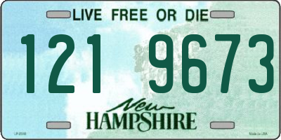 NH license plate 1219673
