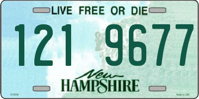 NH license plate 1219677