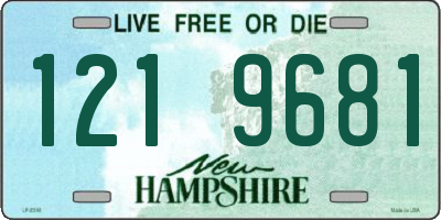 NH license plate 1219681