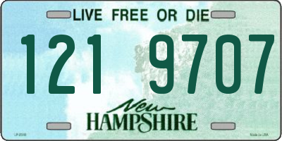 NH license plate 1219707