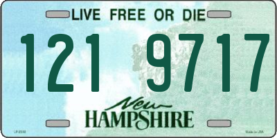 NH license plate 1219717