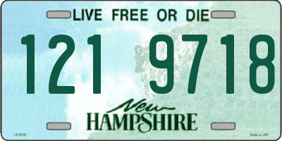 NH license plate 1219718