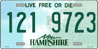 NH license plate 1219723