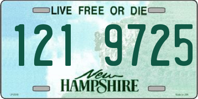 NH license plate 1219725