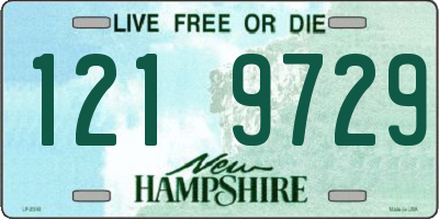 NH license plate 1219729