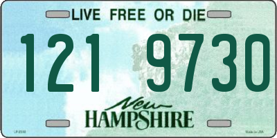 NH license plate 1219730