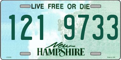 NH license plate 1219733