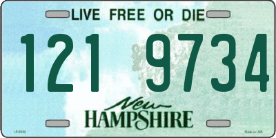 NH license plate 1219734