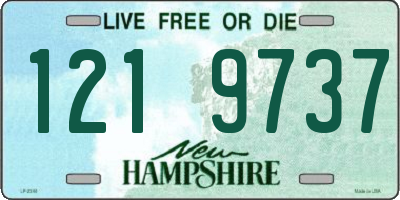 NH license plate 1219737