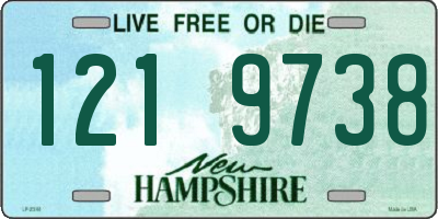 NH license plate 1219738