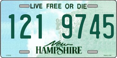 NH license plate 1219745