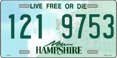 NH license plate 1219753
