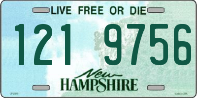 NH license plate 1219756