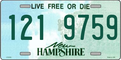 NH license plate 1219759