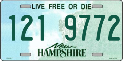 NH license plate 1219772