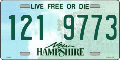 NH license plate 1219773