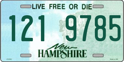 NH license plate 1219785