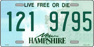 NH license plate 1219795