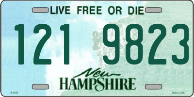 NH license plate 1219823