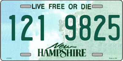 NH license plate 1219825