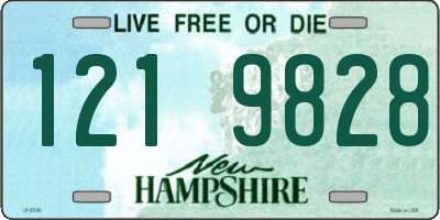 NH license plate 1219828