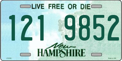 NH license plate 1219852